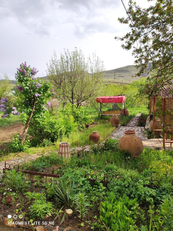 Gayane & Khikar B&B Chʼiva Exteriér fotografie